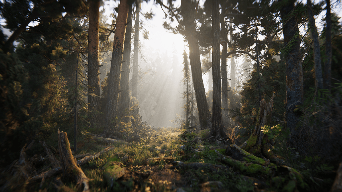 Book of the Dead 2018 demo