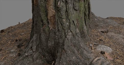 Ativos de fotogrametria, árvores, efeitos visuais